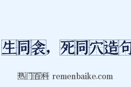 生同衾，死同穴造句是什么意思的图片